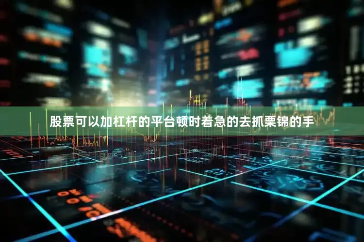 股票可以加杠杆的平台顿时着急的去抓栗锦的手