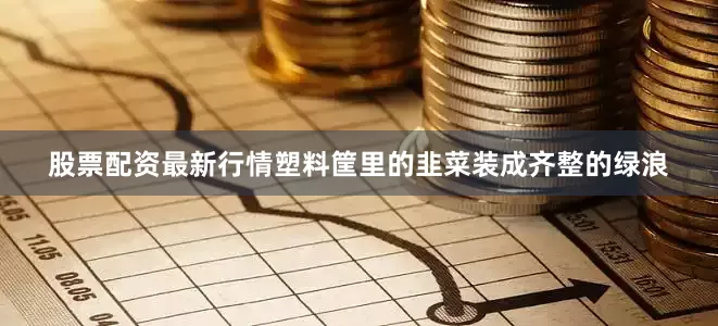 股票配资最新行情塑料筐里的韭菜装成齐整的绿浪