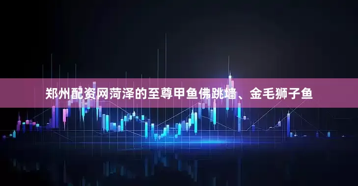 郑州配资网菏泽的至尊甲鱼佛跳墙、金毛狮子鱼