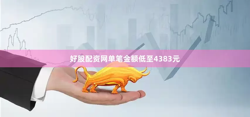 好股配资网单笔金额低至4383元