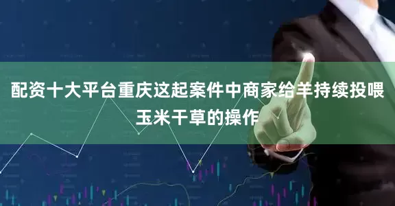 配资十大平台重庆这起案件中商家给羊持续投喂玉米干草的操作